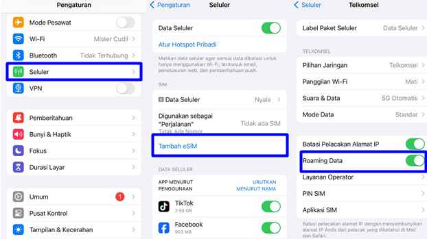 Cara Mengaktifkan eSIM Roaming di Iphone Inter